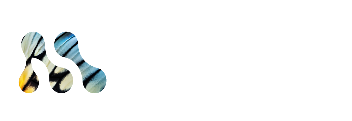 Morph